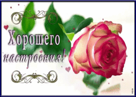 Картинка анимация хорошего настроения с розой