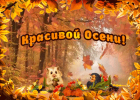 Открытка анимация красивой осени
