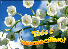 Картинка анимация ландыши с нежностью