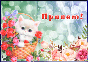 Открытка анимация привет