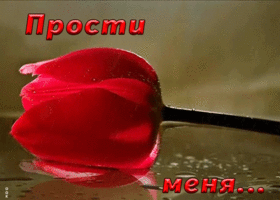 Картинка анимация прости меня