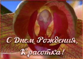 Картинка анимация с днем рождения девушке