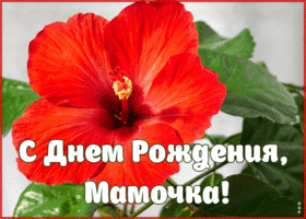 Открытка анимация с днём рождения маме
