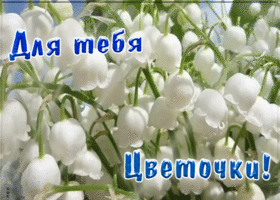 Открытка анимация с ландышами