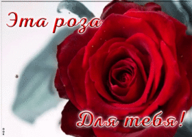 Открытка анимация с розой для тебя
