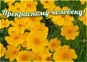 Картинка анимация с цветами прекрасному человеку