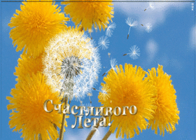 Картинка анимация счастливого лета