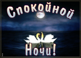 Картинка анимация спокойной ночи