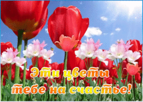 Картинка анимация цветы на счастье