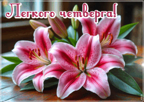 Postcard атмосферная открытка, лёгкого четверга!