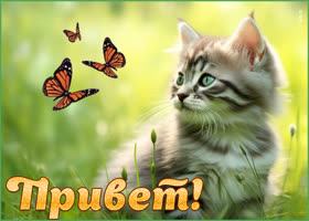 Picture атмосферная открытка отправляет прекрасный привет