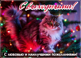 Postcard атмосферная открытка, прекрасных выходных!