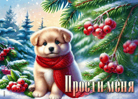 Postcard атмосферная открытка, прости меня и пойми