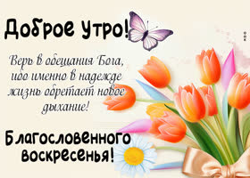 Postcard атмосферная открытка с благословенным воскресеньем