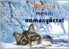 Postcard берущая за душу открытка прости меня