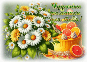 Postcard бесподобная гиф-открытка, чудесные ромашки для тебя