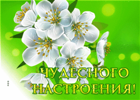 Postcard бесподобная гиф-открытка, пусть настроение будет чудесным