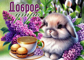 Postcard бесподобная гиф-открытка, пусть утро будет по-настоящему доброе