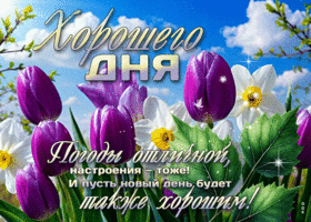 Postcard бесподобнейшая гиф-открытка, хорошего дня и погоды