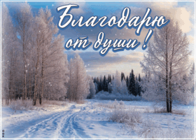 Picture благодарю от души