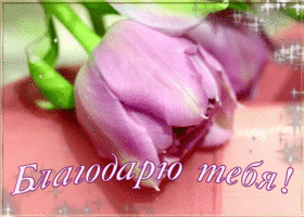 Картинка благодарю тебя от души