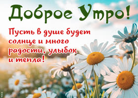 Postcard благополучная открытка, пусть в душе будет солнце и много счастья