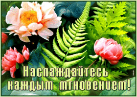 Postcard благородная гиф-открытка, наслаждайтесь каждым мгновением