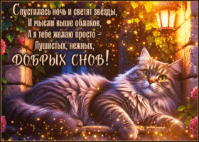 Postcard благородная гиф-открытка, пушистых и нежных добрых снов