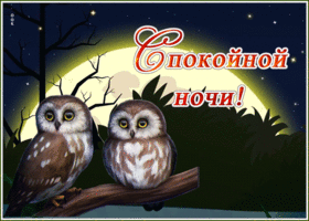 Картинка блестящая картинка спокойной ночи