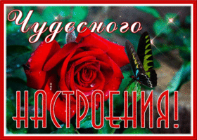 Открытка блестящая открытка  чудесного настроения с бабочкой