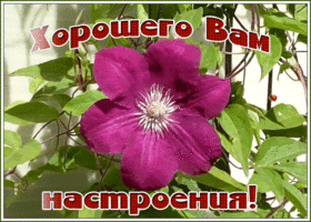 Открытка блестящая открытка хорошего настроения