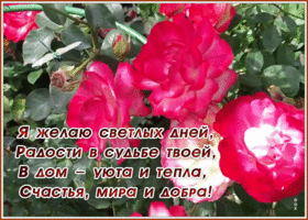 Открытка блестящая открытка с пожеланием