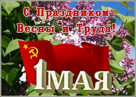Picture блестящая картинка с 1 мая