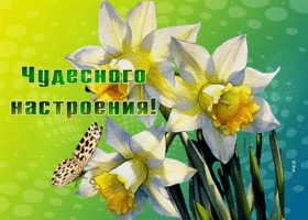 Postcard чарующая гиф-открытка, чудесного весеннего тебе настроения