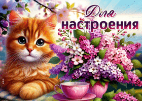 Postcard ценнейшая гиф-открытка, для настроения