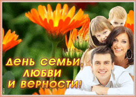 Открытка чудесная открытка день семьи, любви и верности
