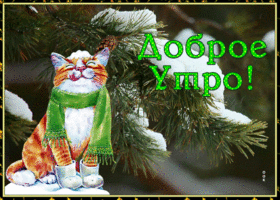 Картинка чудесная открытка доброе утро с котиком
