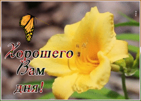 Открытка чудесная открытка хорошего дня