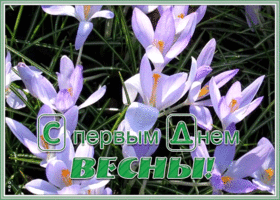 Картинка чудесная открытка с первым днем весны