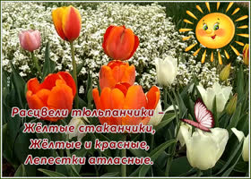 Картинка чудесная открытка с тюльпаном