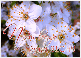 Открытка чудесная открытка с весной