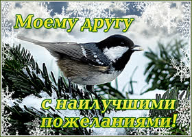 Открытка чудесная зимняя открытка другу