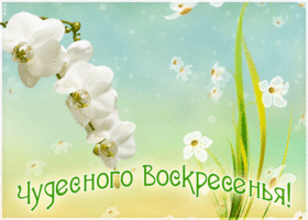 Картинка чудесного воскресенья