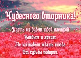 Картинка чудесного вторника