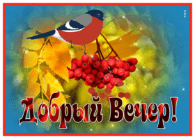 Postcard чудесная картинка добрый вечер с птичкой и рябиной