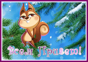 Picture чудесная картинка привет с милой белочкой