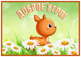 Picture чудесная открытка доброе утро с полем ромашек