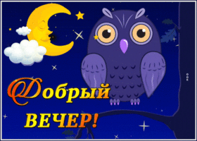 Postcard чудесная открытка добрый вечер с совой на дереве