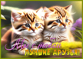Postcard чудесная открытка мы с тобой лучшие друзья