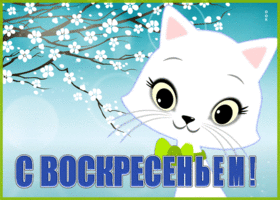 Picture чудесная весенняя открытка с воскресеньем